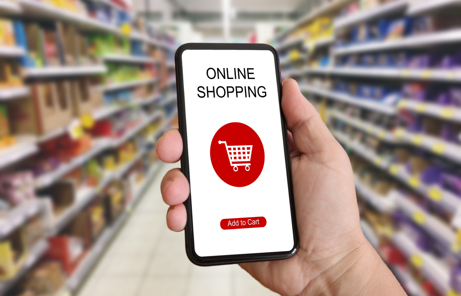 E-Commerce Expansion: Preparing Your Grocery Business for the Digital Shift
